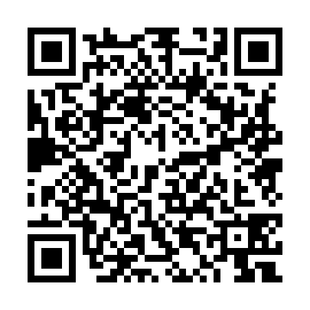 QR code for VT09384
