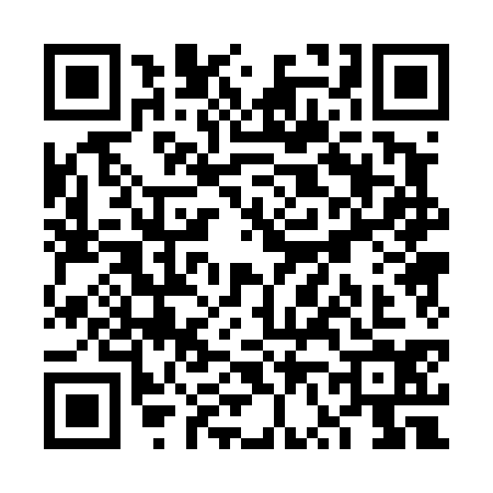 QR code for VV04341