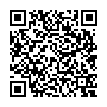QR code for VV06337