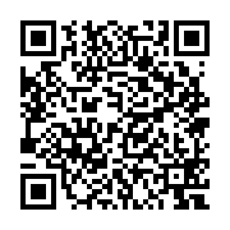 QR code for VV13993