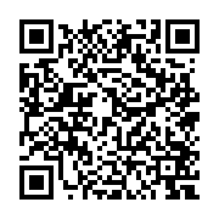 QR code for VV17434