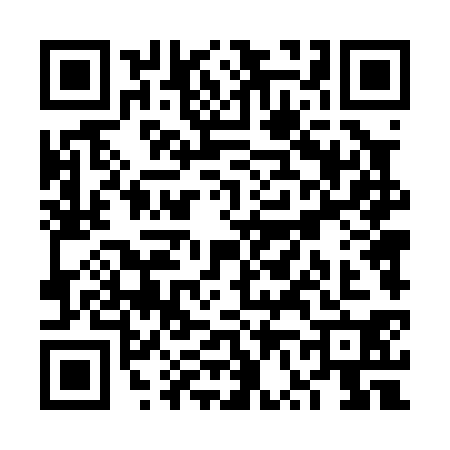 QR code for VV40306