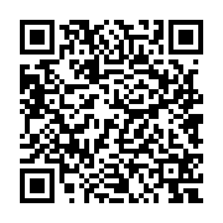 QR code for VV41246
