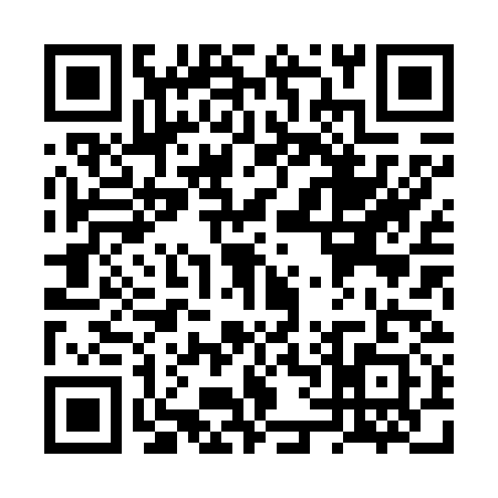 QR code for VV86311