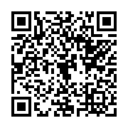 QR code for VW06317