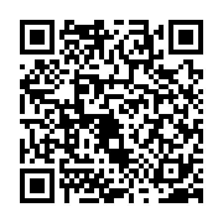 QR code for VW53313