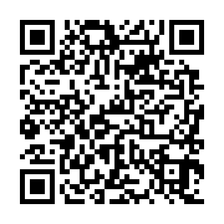 QR code for VZ43811