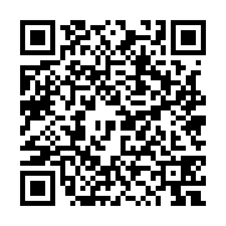 QR code for VZ51381