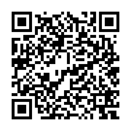 QR code for VZ76295
