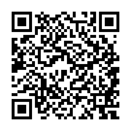 QR code for WB63893