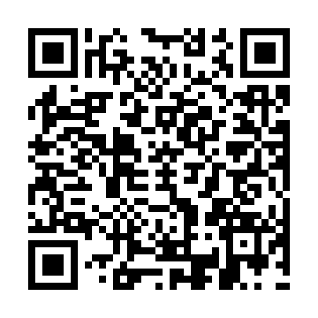 QR code for WC13438