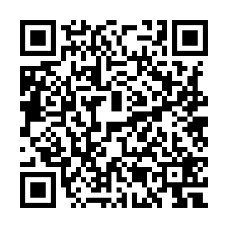 QR code for WE29291