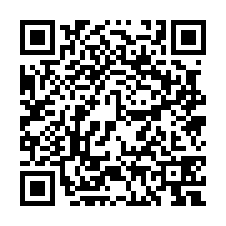 QR code for WG10384