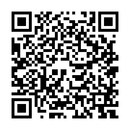 QR code for WG11823