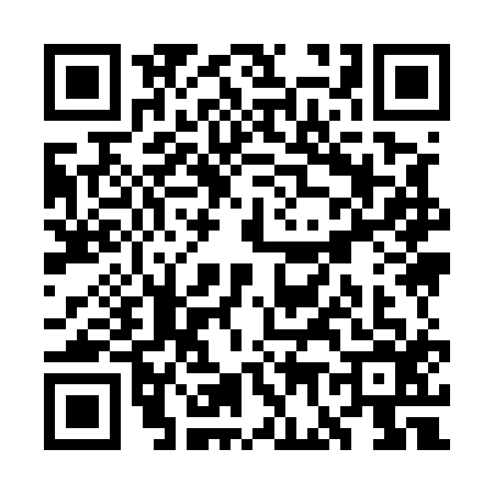QR code for WG95161
