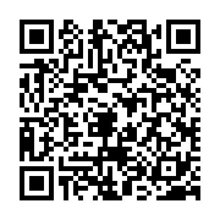 QR code for WH28317