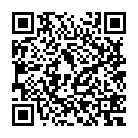 QR code for WI38286