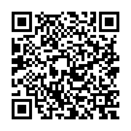 QR code for WK99738