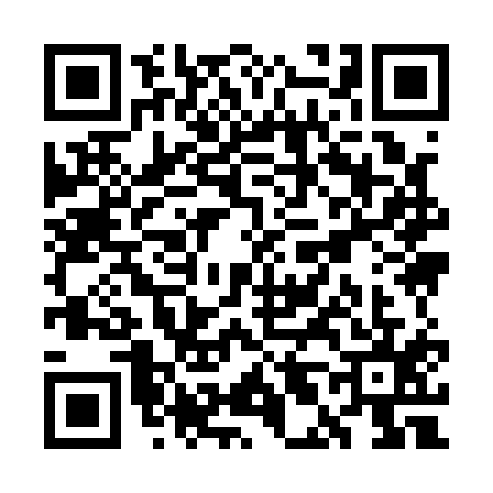QR code for WL91153