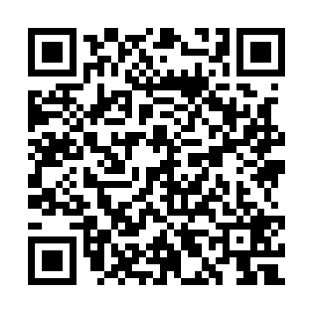 QR code for WL91294