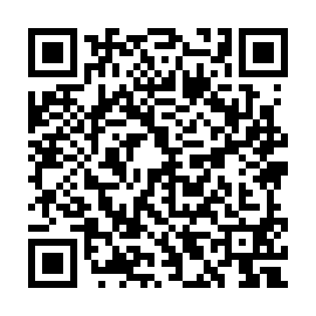 QR code for WL93905