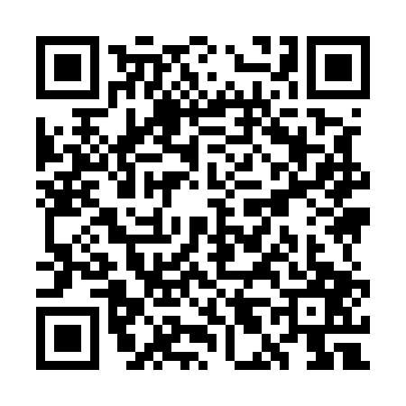 QR code for WL95071