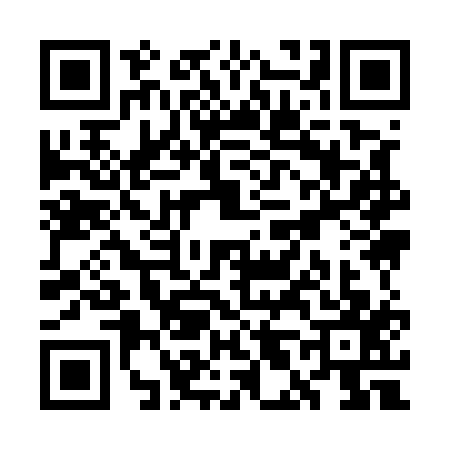 QR code for WL95171