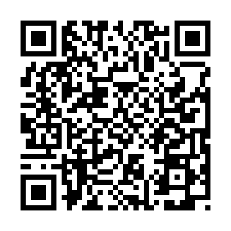 QR code for WM13487