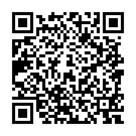 QR code for WN85919