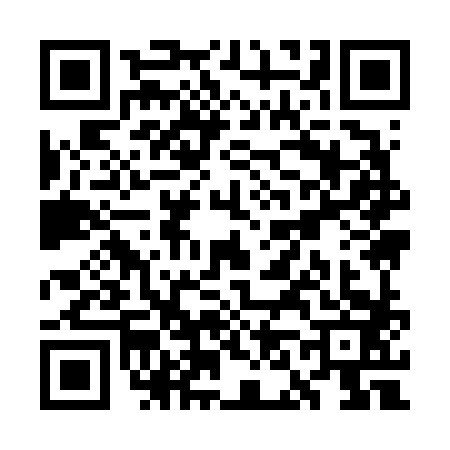 QR code for WN96838