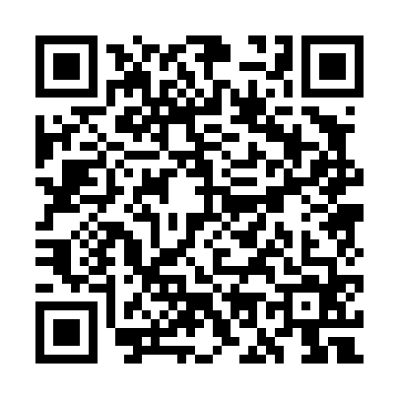 QR code for WO04642