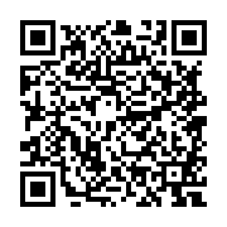 QR code for WO08819