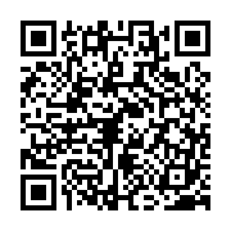 QR code for WO11638