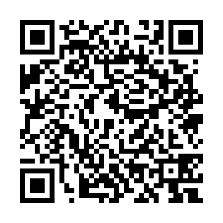 QR code for WO17383
