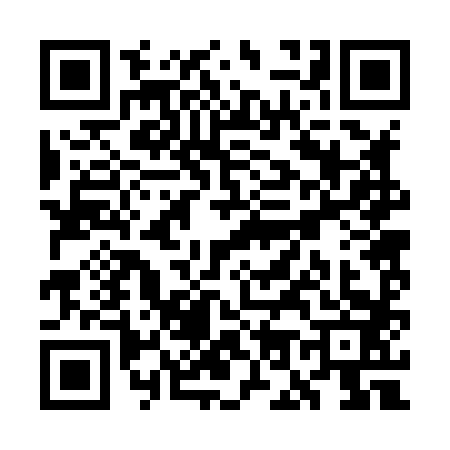 QR code for WO28838