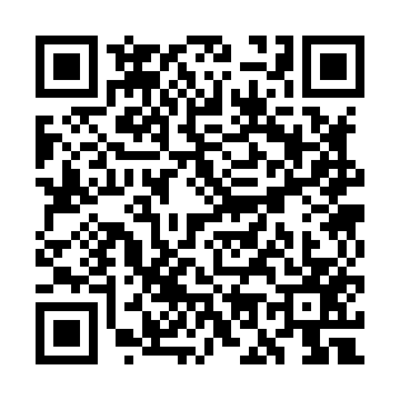 QR code for WO38579