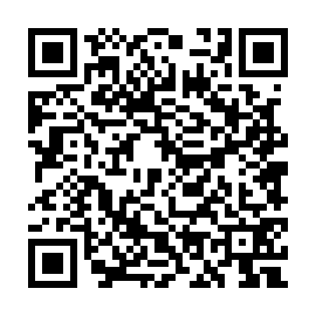 QR code for WO41729