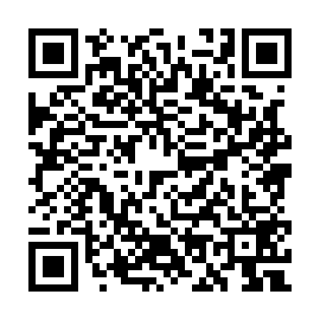 QR code for WO81594