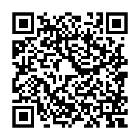 QR code for WO81861