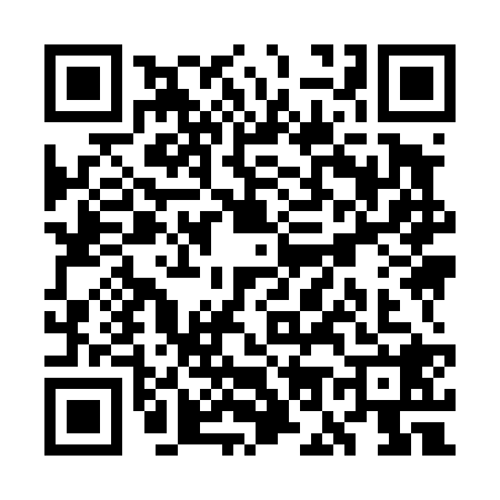 QR code for WO94287