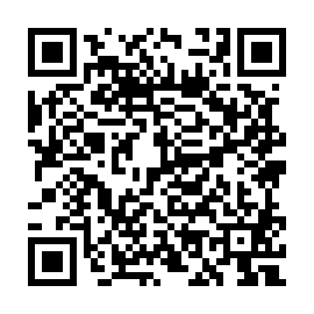 QR code for WO95816