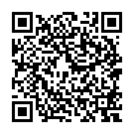 QR code for WO96886