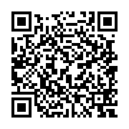 QR code for WP00994