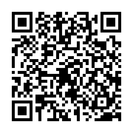 QR code for WP03347