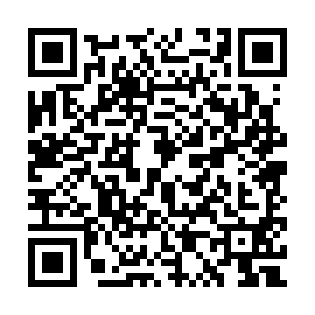 QR code for WP03907