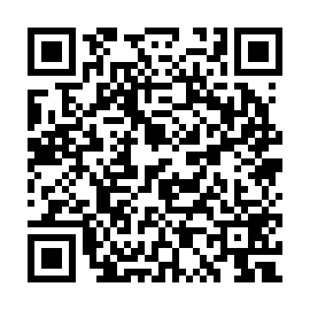 QR code for WP12597