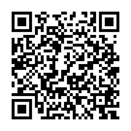 QR code for WP33489