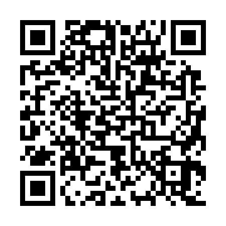 QR code for WP33638
