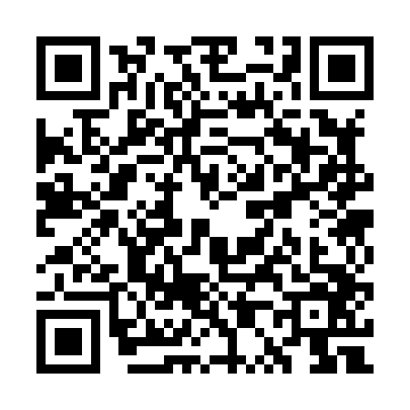 QR code for WP38463