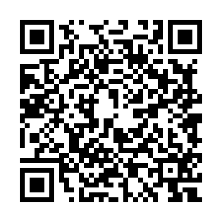 QR code for WP48163